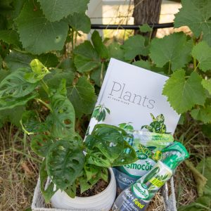 Wunderbar Farm Garden Bliss Box