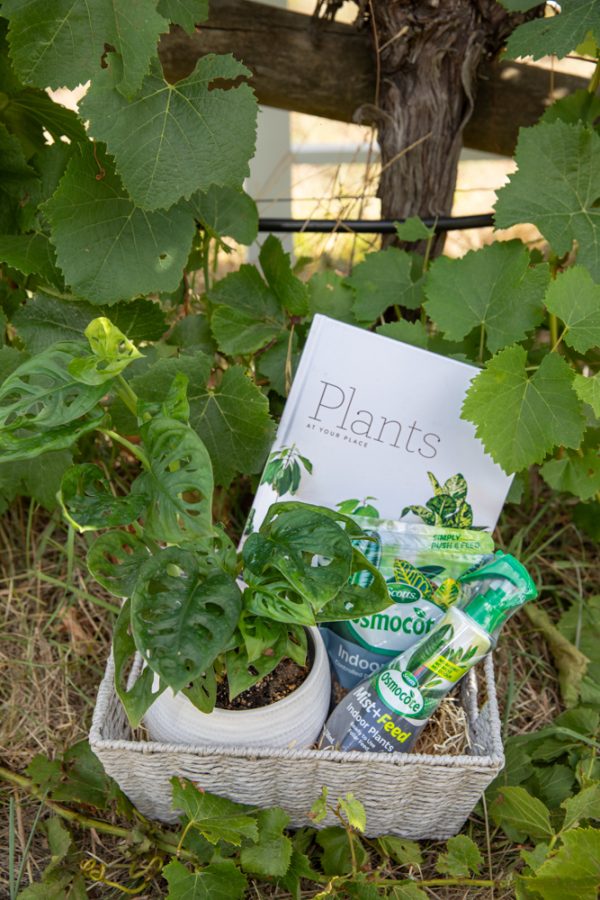 Wunderbar Farm Garden Bliss Box