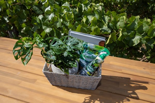Green Thumb Essential Wunderbox